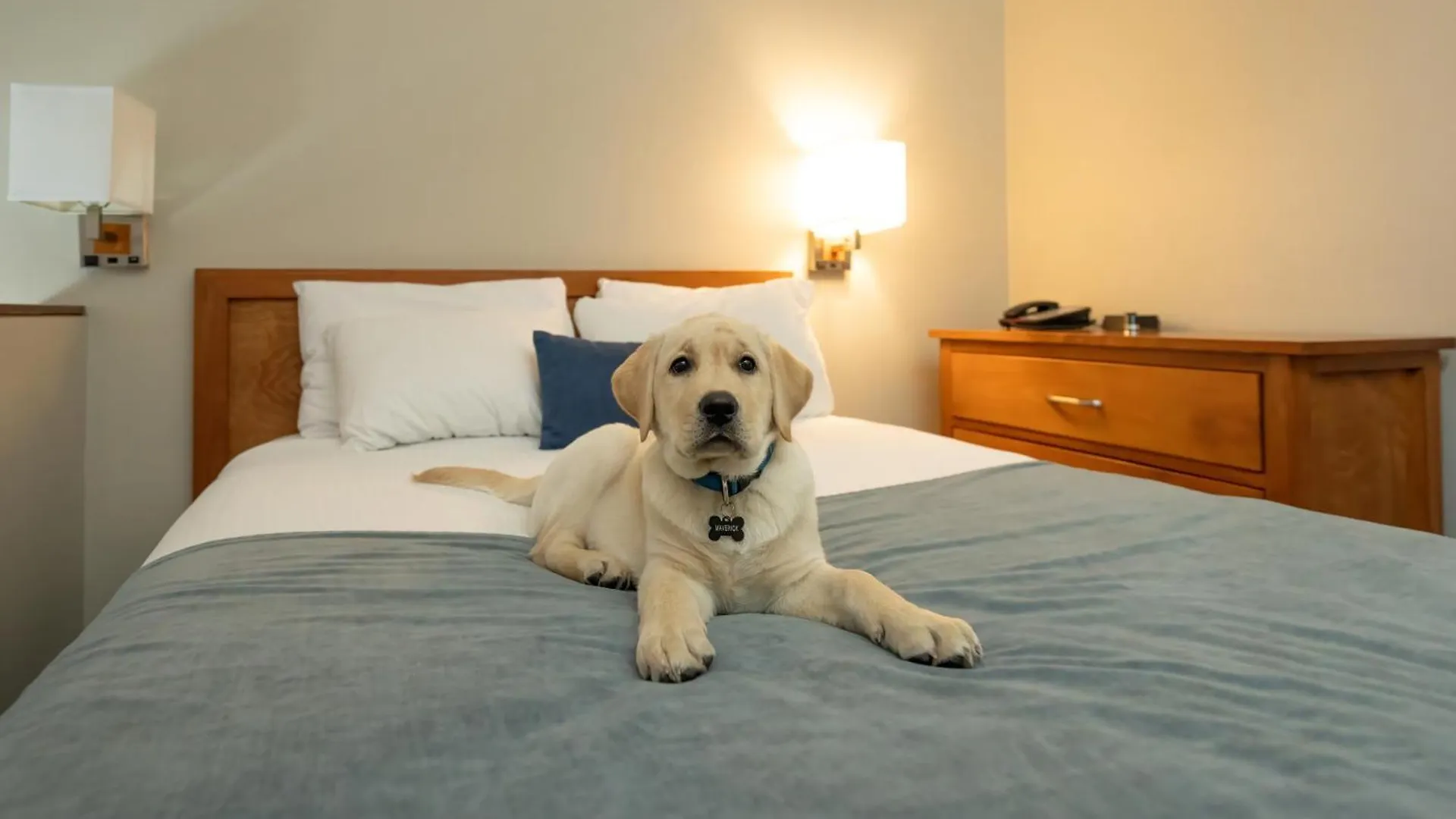 *** Hotel Whistler Village Inn & Suites Canada